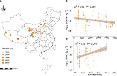 Climate factors dominate the elevational variation in grassland plant resource utilization strategies